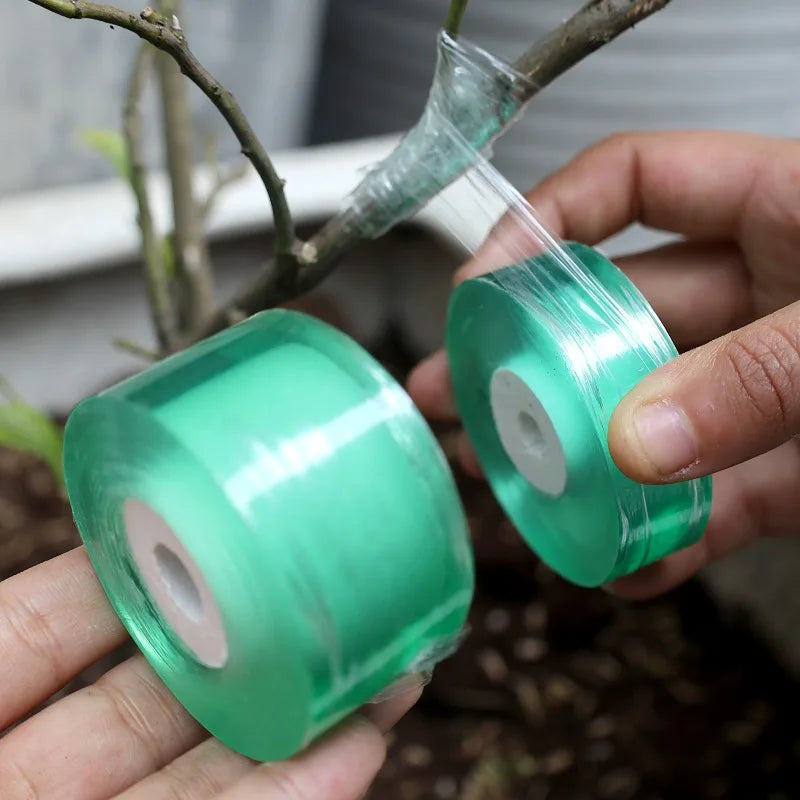 Stretchable Grafting Tape for Plant Support Nursery Use Household Garden Grafting Transparent Tape for Fruit Tree