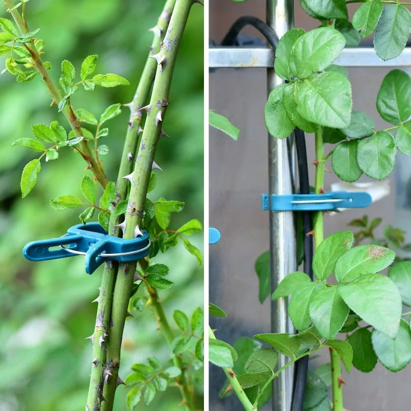 Garden Plant Support Clips Reusable Green Plastics Clips Climbing Plants Tomato Vine Support Clip Secure Growth Fixation Tools