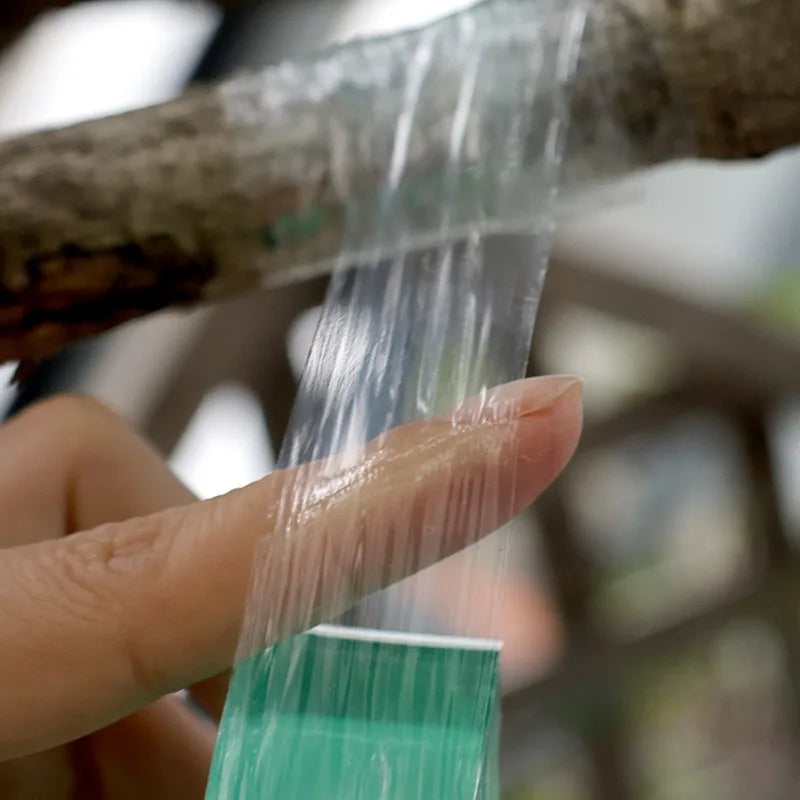 Stretchable Grafting Tape for Plant Support Nursery Use Household Garden Grafting Transparent Tape for Fruit Tree