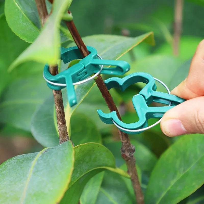 Garden Plant Support Clips Reusable Green Plastics Clips Climbing Plants Tomato Vine Support Clip Secure Growth Fixation Tools