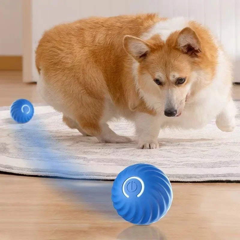 Smarts Dog Toy Ball Automatic Electronic Interactive Training Pet Toy Gravity Moving Ball Rechargeable Active Rolling Ball Toys