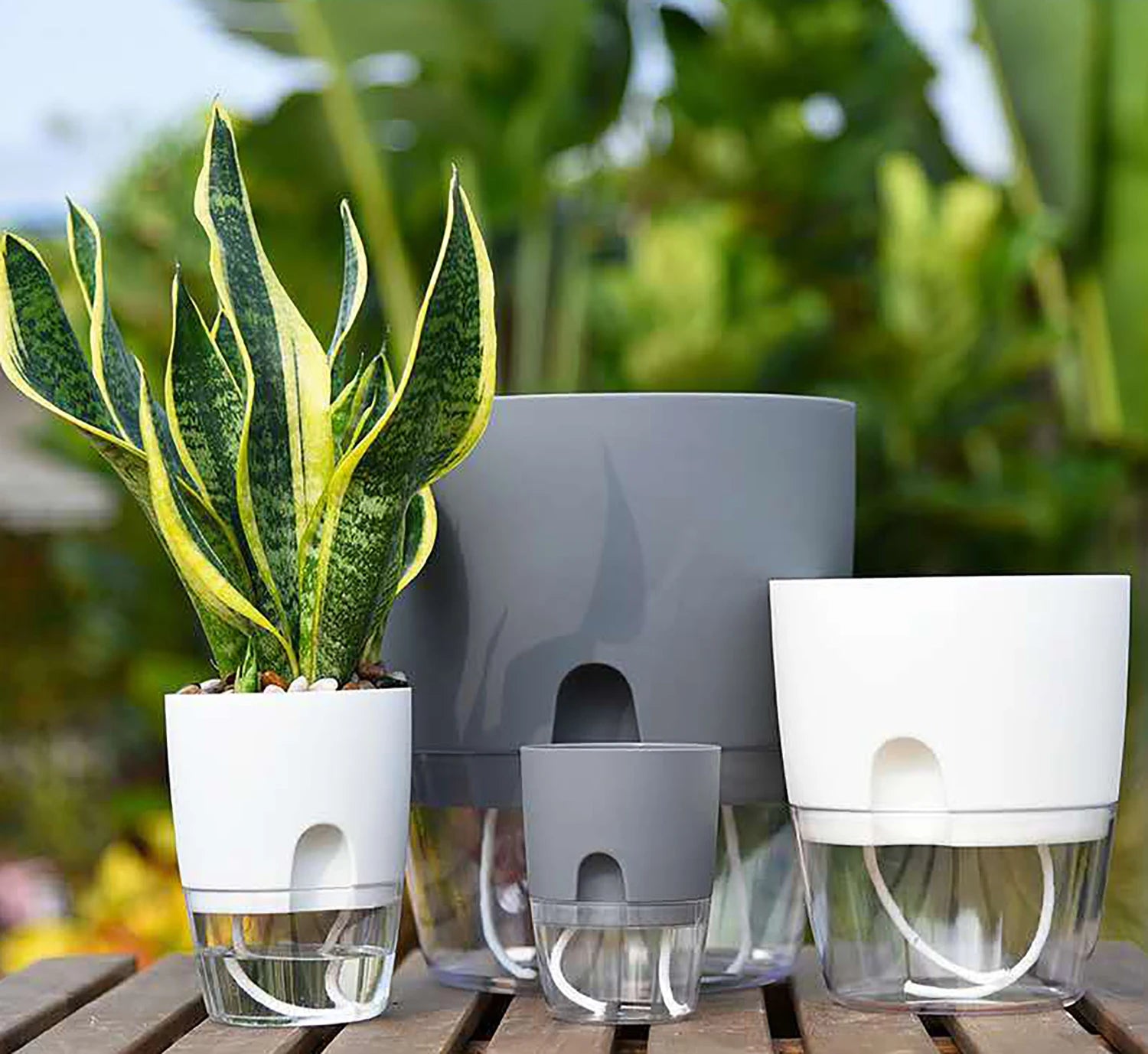 8.2/10.5/15.3/23.5cm Hydroponic Pot Self Watering Flower Pot Liquid Farming Soilless Cultivation Planter Cotton Rope Watering