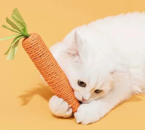 Cat toy carrot grinding stick tear resistant scratch resistant self entertaining toy suitable for cats to play with