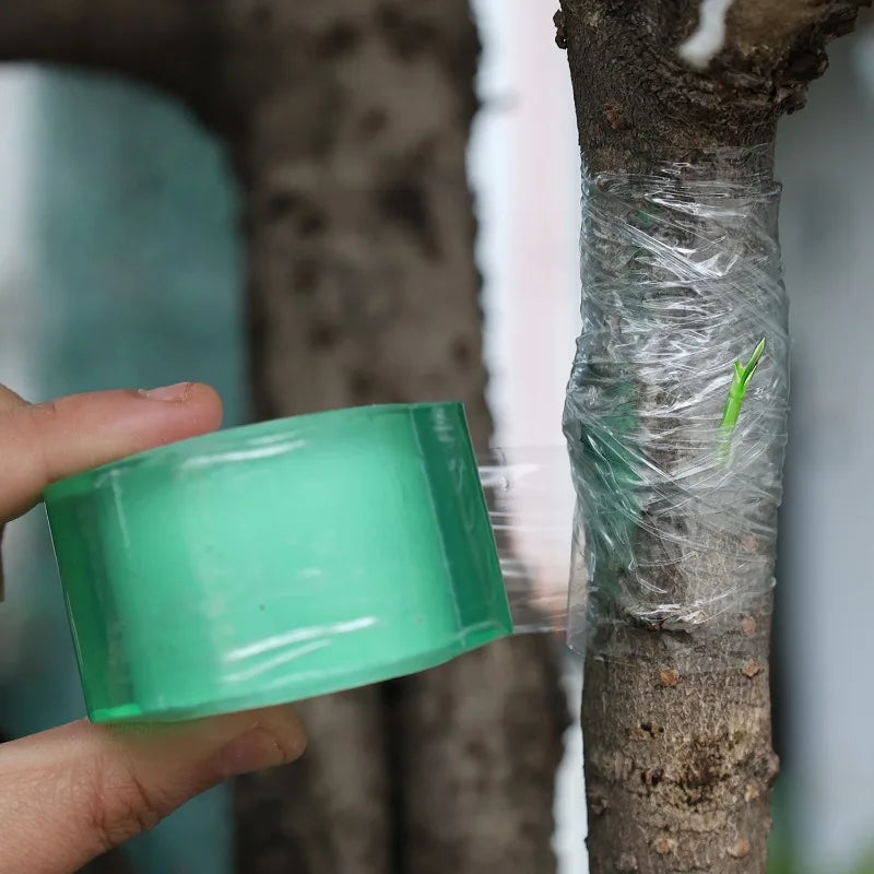Stretchable Grafting Tape for Plant Support Nursery Use Household Garden Grafting Transparent Tape for Fruit Tree
