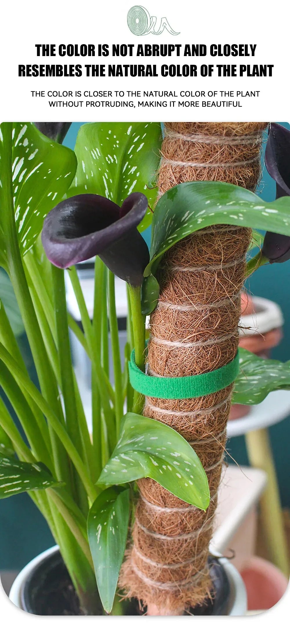 Tutors for Plants Self-adhesive Plant Nylon Cable Tying Climbing Plant Support Green Fastener Tape Reusable Care Garden Supplies