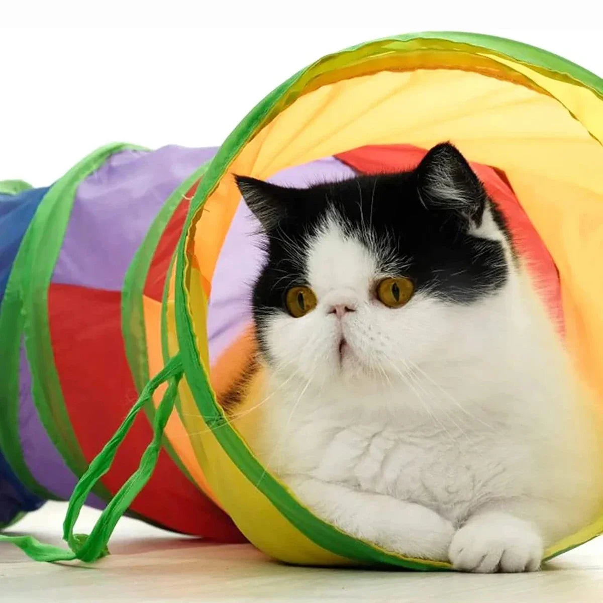 Cat Tunnel Tube, Foldable Cat Toys, Cat Training, Fun Interactive Toys, Puppy Black Tunnel, Pet Supplies, Cat Accessories