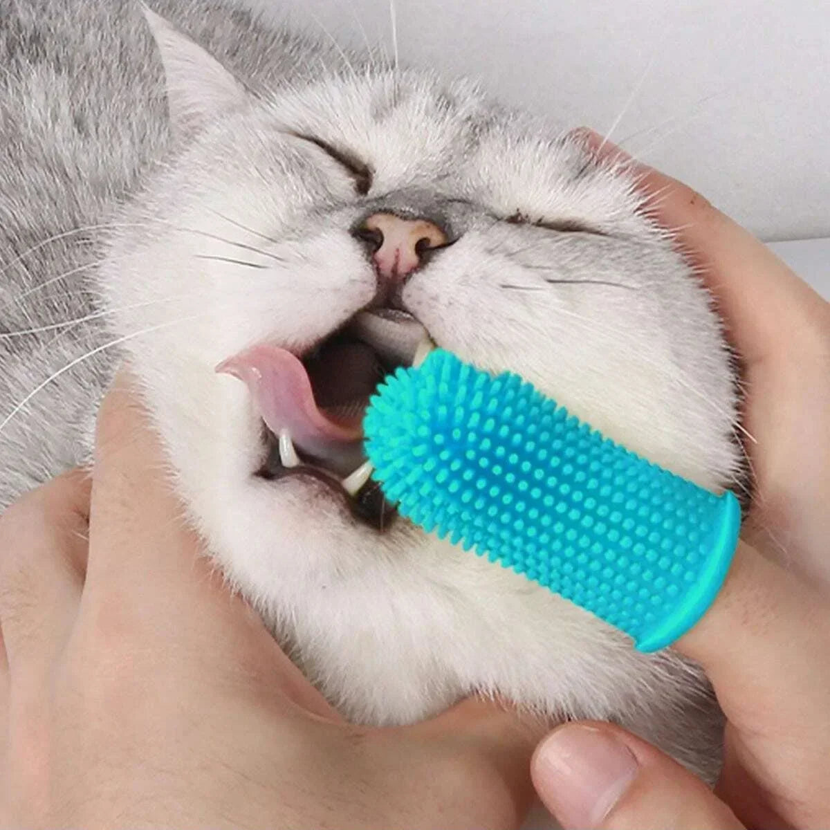 Cat Dog Super Soft Pet Finger Toothbrush Teeth Cleaning Bad Breath Care Nontoxic Silicone Toothbrush Tool Dog Cleaning Supplies