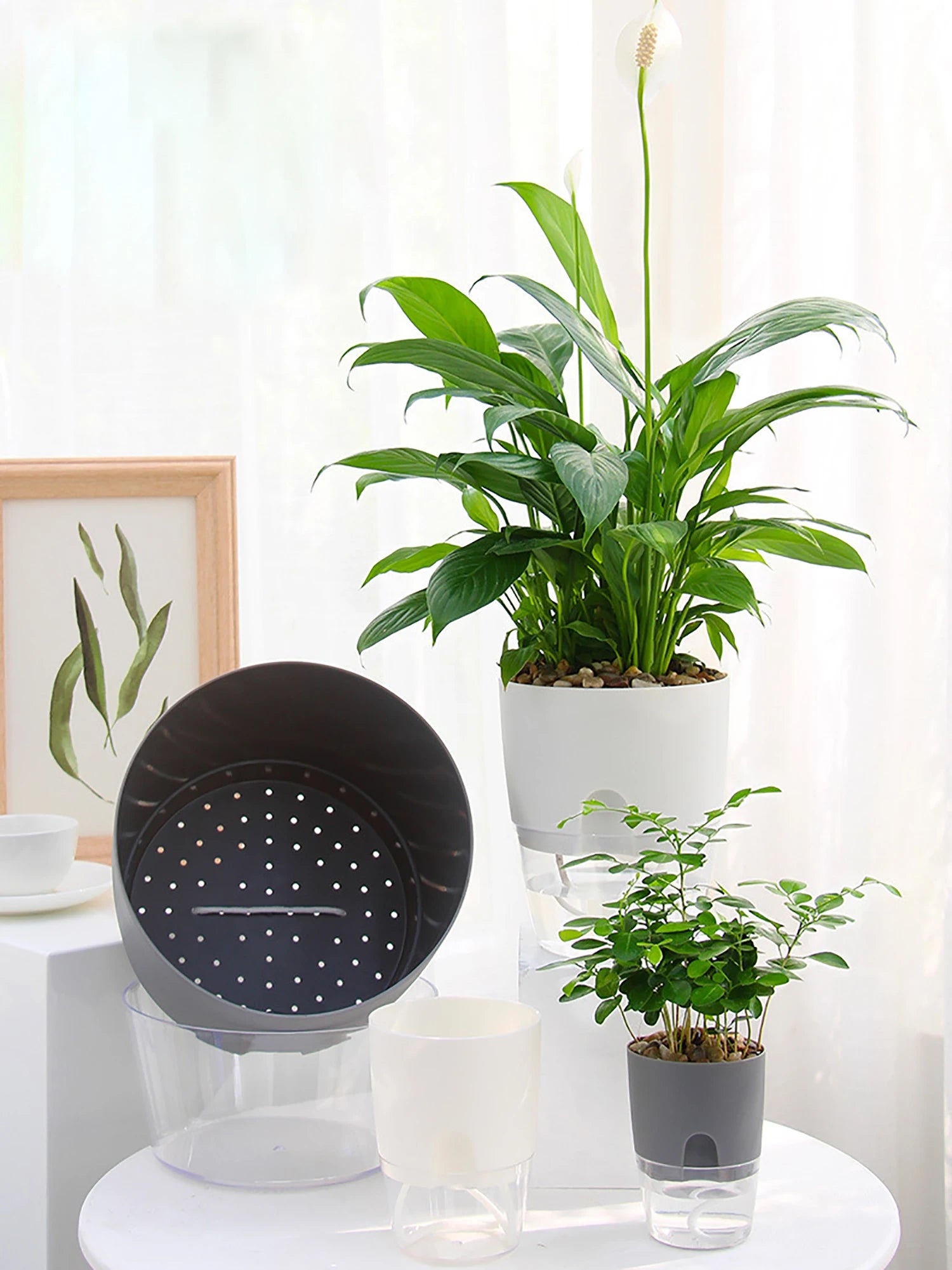 8.2/10.5/15.3/23.5cm Hydroponic Pot Self Watering Flower Pot Liquid Farming Soilless Cultivation Planter Cotton Rope Watering