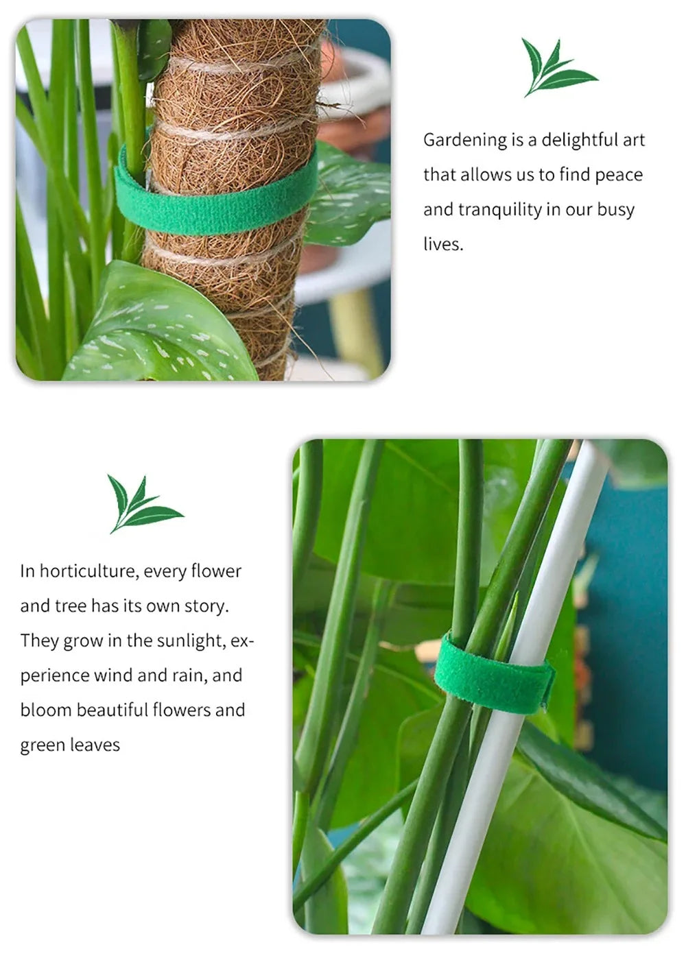 Tutors for Plants Self-adhesive Plant Nylon Cable Tying Climbing Plant Support Green Fastener Tape Reusable Care Garden Supplies
